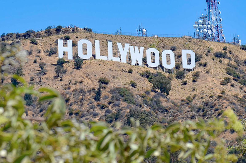 Hollywood hill